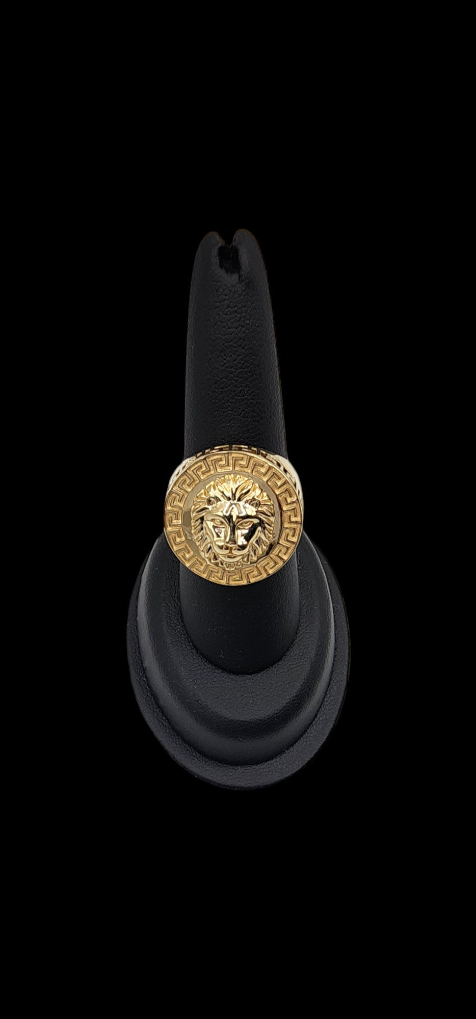 10KT Yellow Gold Semisolid Fancy Lion Head Man Ring